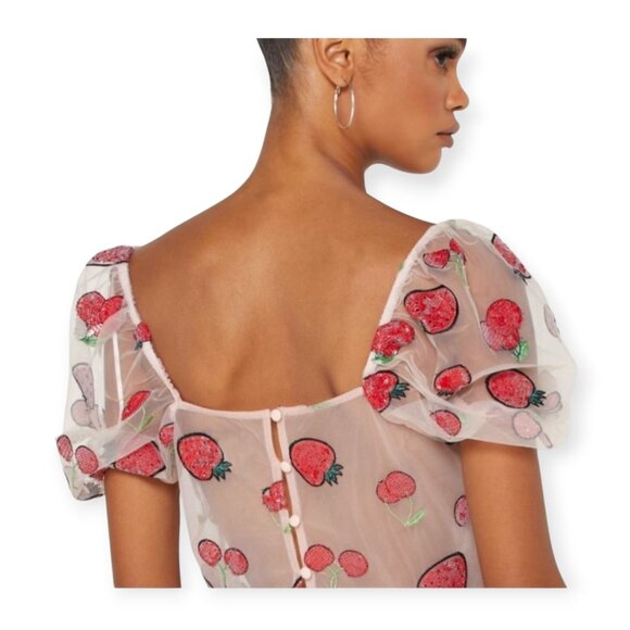 Sequin Strawberry Mesh Topshop Nylon Top size 2 - Picture 3 of 13